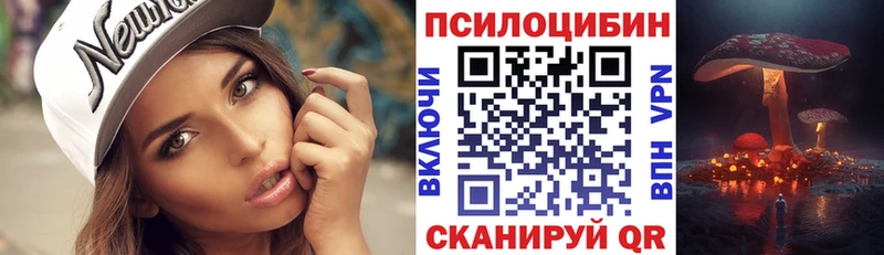 Купить где  Куртамыш  Псилоцибиновые грибы Magic Shrooms 